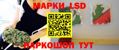 гидра Новозыбков