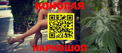 спиды Новодвинск