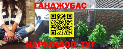 гидра Новозыбков