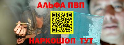 гидра Новозыбков