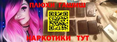 гидра Новозыбков
