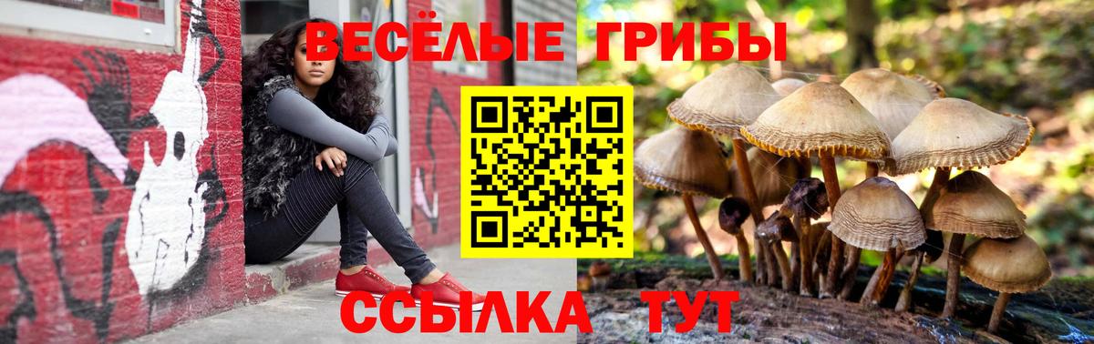 Псилоцибиновые грибы Cubensis  Вход с VPN  Псилоцибиновые грибы MAGIC MUSHROOMS  Саранск 